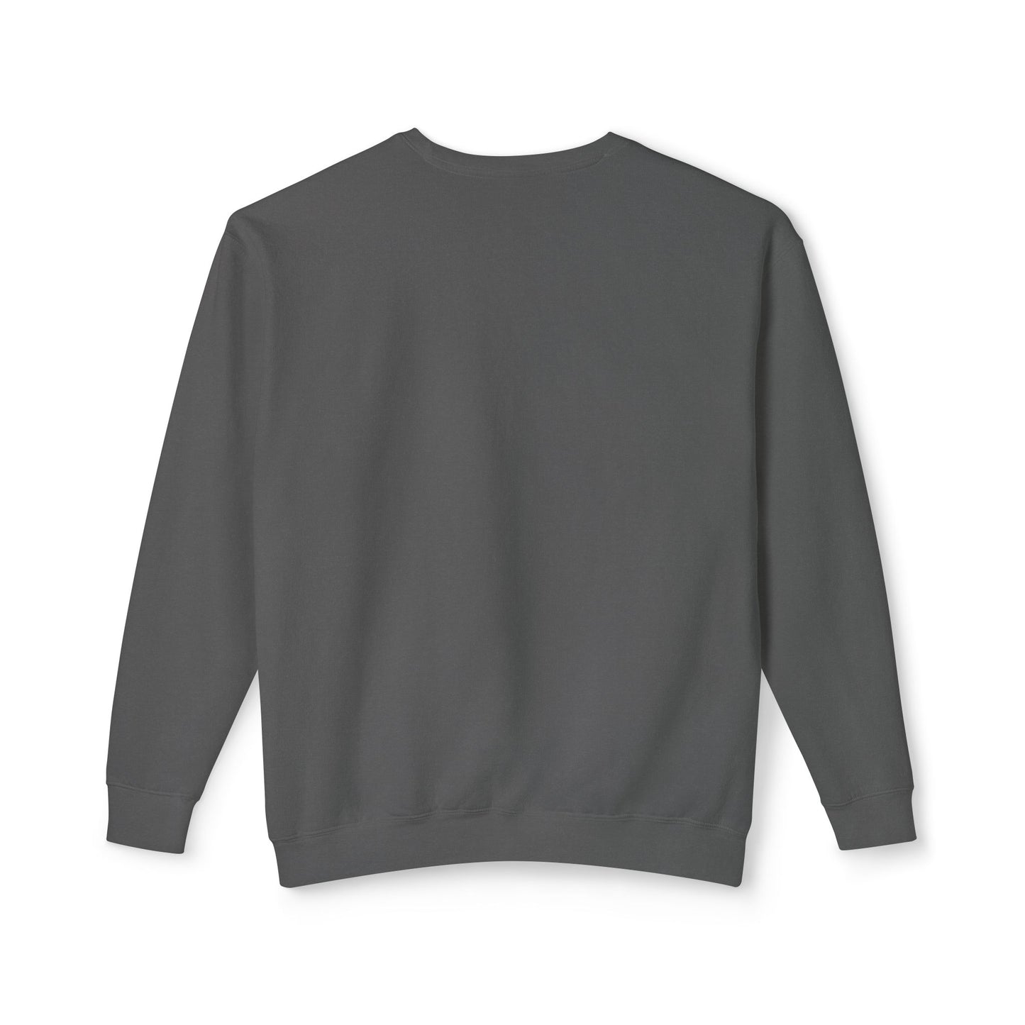 Today Anything is Possible Motivational Lightweight Sweatshirt