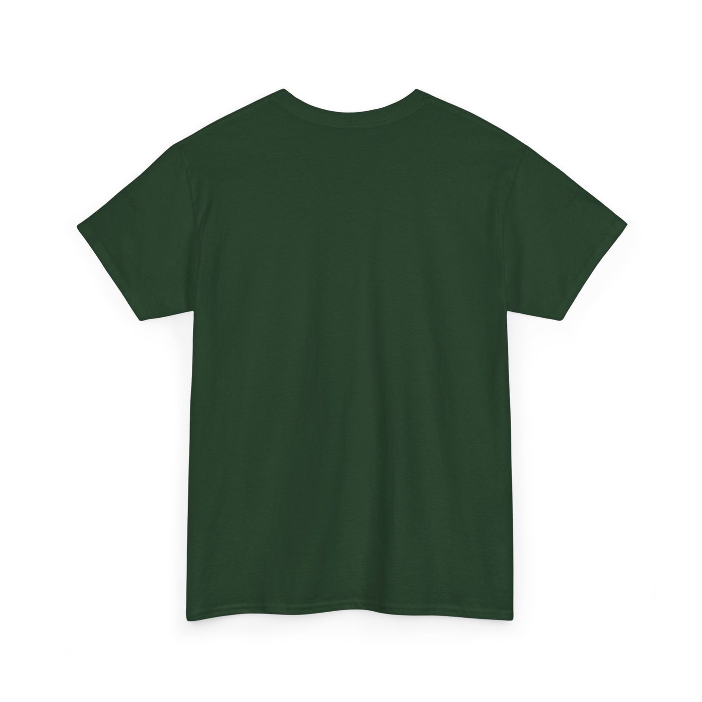 Dream Big Work Hard Stay Strong Tee | Motivational Unisex